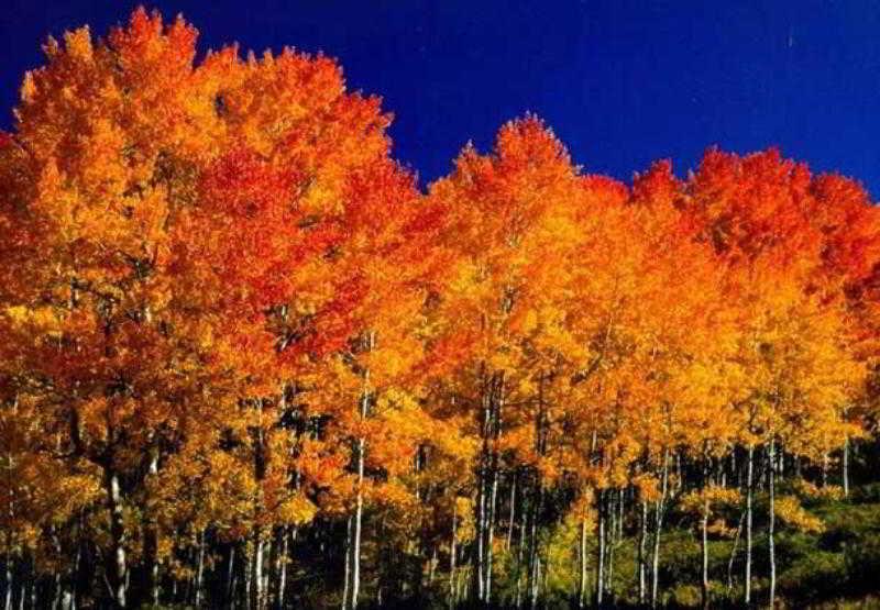 Fairfield Inn And Suites By Marriott Colorado Springs North Air Force Academy Gleneagle Экстерьер фото